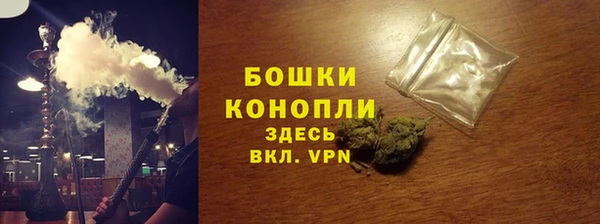 сатива Гусев