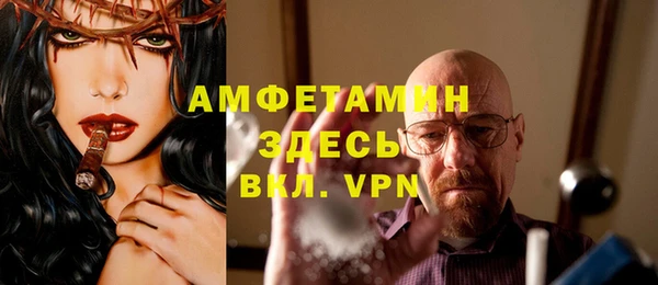 сатива Гусев