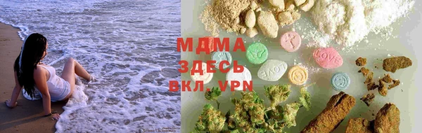 сатива Гусев