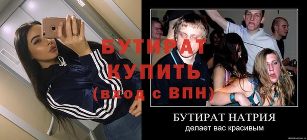 сатива Гусев