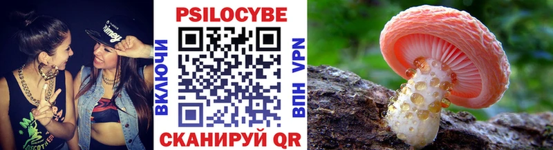 Псилоцибиновые грибы ЛСД  цены наркотик  Озёры 